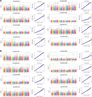 Genome-wide association studies reveal putative QTLs for physiological traits under contrasting phosphorous conditions in wheat (Triticum aestivum L.)